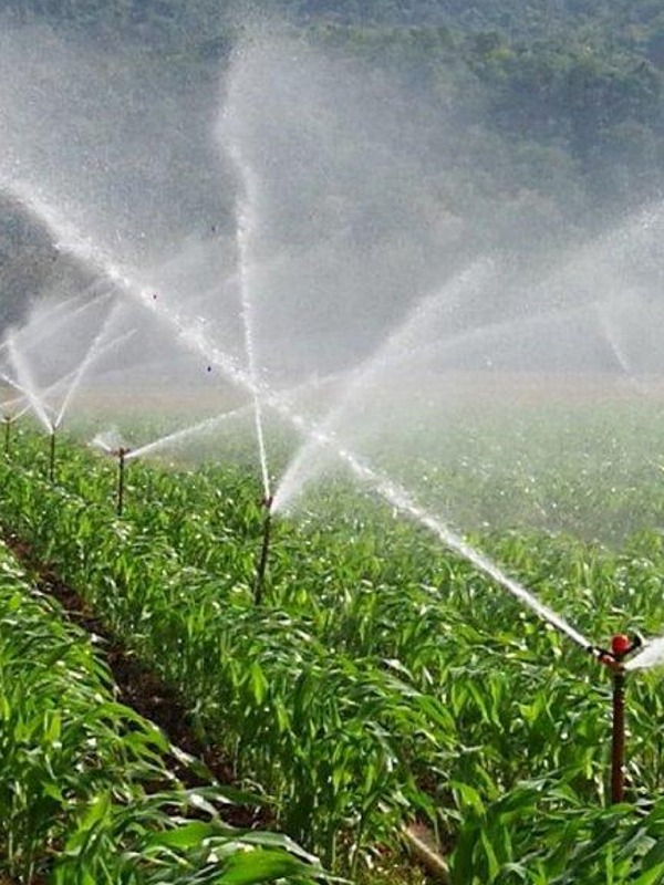 Agriculture and Irrigation